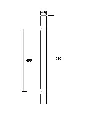 MANILL~2.webp