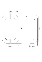 PARMAN~2.webp