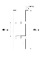 PARMAN~2.webp