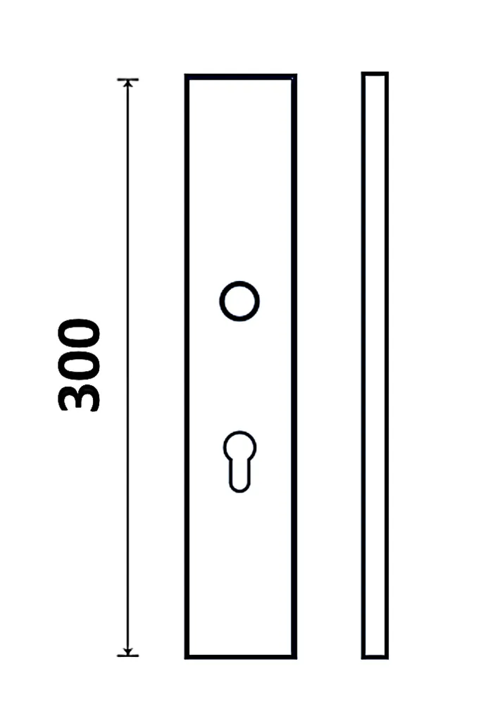 PLACAD~3.webp