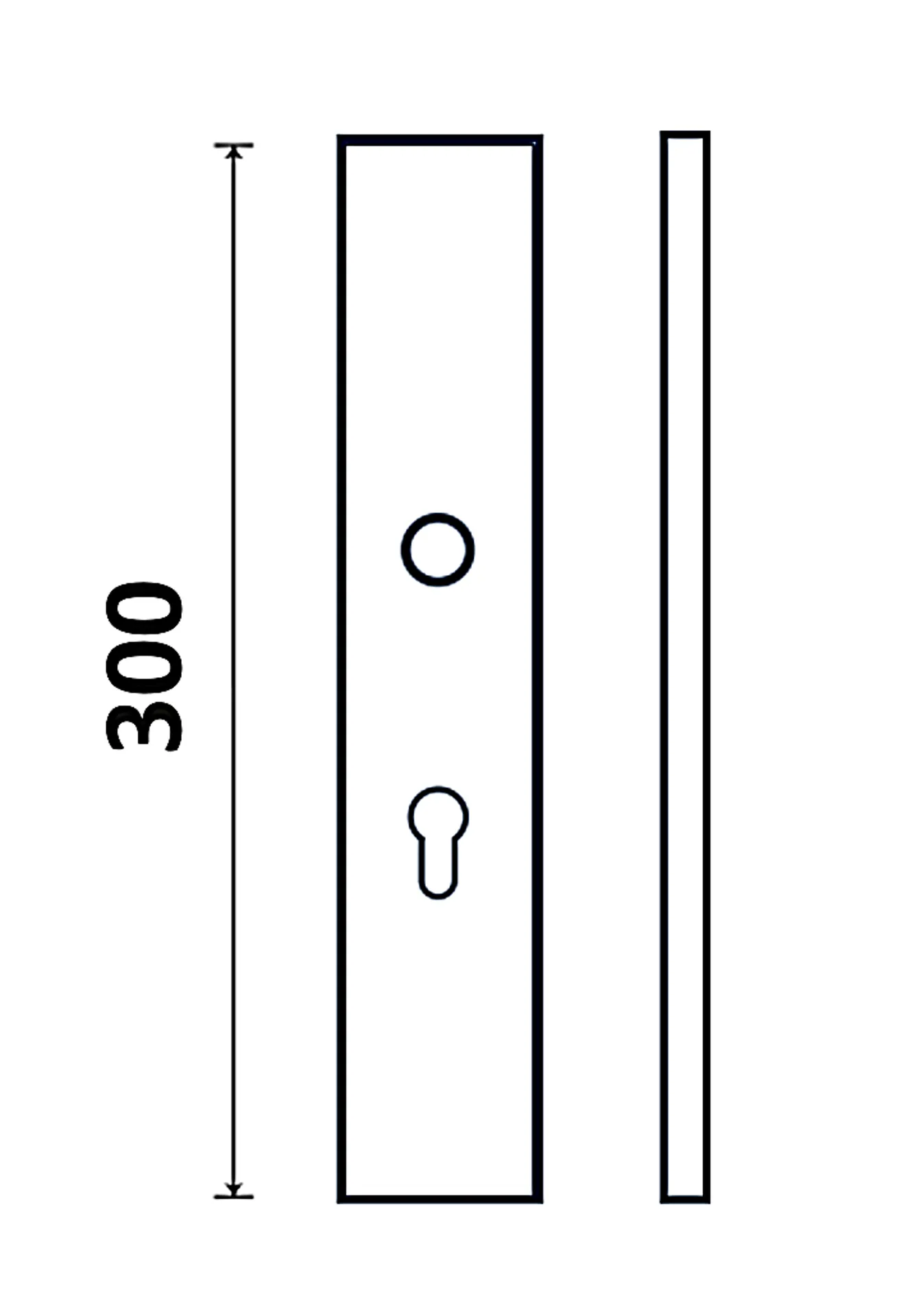 PLACAD~3.webp