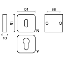 50-QR-disegno.webp