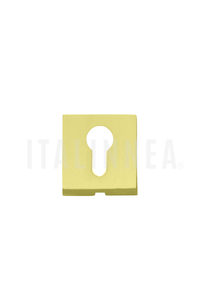 [ROYALQ0FRAPV050] ROSETA CUADRADA 50Q SEGURIDAD FRASCIO (ITALIA) PVD